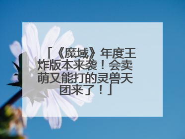 《魔域》年度王炸版本来袭！会卖萌又能打的灵兽天团来了！